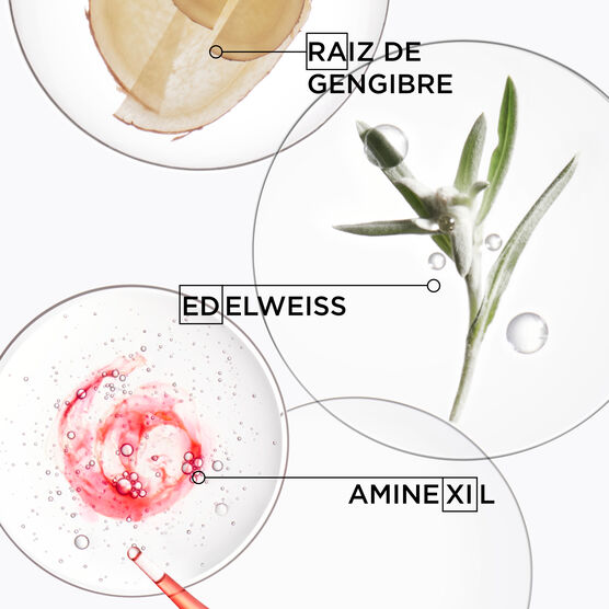 Shampoo Travel Size Antiqueda Fortificante K&eacute;rastase Genesis Hydra-Fortifiant